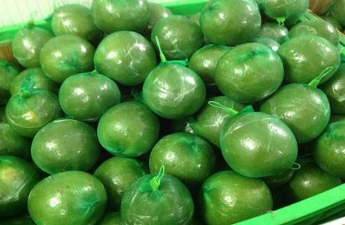 Chuyên bưởi da xanh xuất khẩu